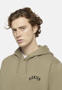 Felpa color khaki con cappuccio regolabile, polsini a costina e un logo nero curvo sopra il petto. Tessuto liscio senza motivi.