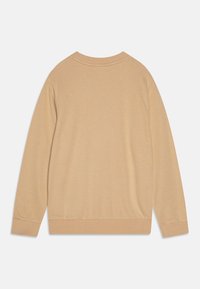 Felpa beige con collo a giro, maniche lunghe e polsini a costine. Tessuto morbido, design semplice e senza motivi o accenti visibili.