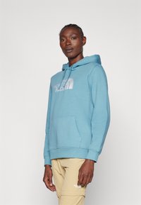 The North Face W DREW PEAK REGULAR HOODIE - Felpa con cappuccio - algae blue