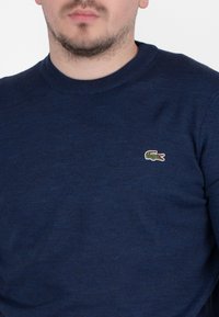 Granatowy sweter z dzianiny z okrągłym dekoltem i małym zielono-białym logo krokodyla na lewym przedzie. Miękka faktura, standardowy krój.