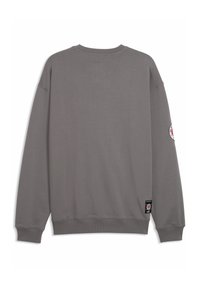 Sudadera gris con cuello redondo, mangas largas, puños y dobladillo acanalados, presenta un parche con logo en la manga izquierda y una etiqueta en la parte inferior.