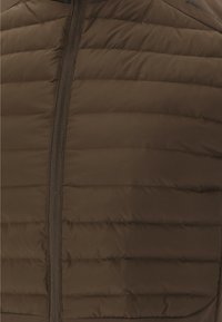 Endurance Weste - wren