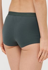 Cuecas curtas de algodão verde-escuro com uma textura suave e uma faixa elástica na cintura, apresentando letras da marca. Vista pela parte de trás.