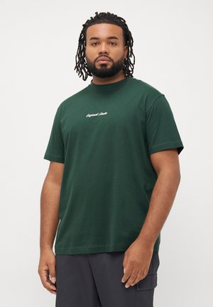 JORNORREBRO EMB SS CREW NECK  - Printtipaita - sycamore