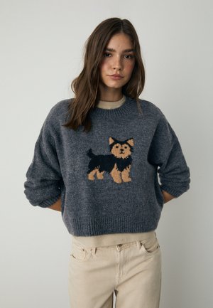 Stradivarius INTARSIA - Trui - dark grey