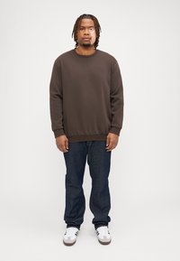 Jack & Jones JJEBRADLEY CREW  - Sweatshirt - mulch