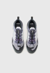 adidas Terrex TERREX SKYCHASER - Matkajalatsid - preloved violet/matte silver-coloured/dash grey