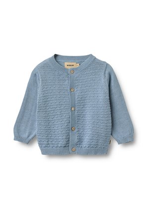 Lichtblauw gebreid babyvest met een gestructureerde voorkant, houten knopen, geribbelde manchetten, kraag en zoom.