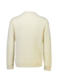 Ljuscremefärgad tröja, stickad textur, rund hals, ribbad fåll och mudd, långa ärmar, bakvy, inga knäppningar eller ytterligare detaljer synliga.