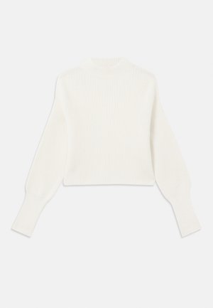 White cropped sweater with a ribbed texture, high neck, and wide sleeves. Simple design, no visible patterns or hardware details.