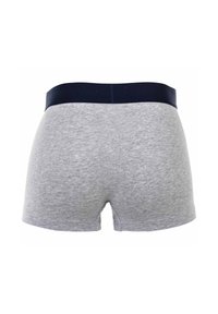 Boxer shorts gris avec une ceinture marine, fabriqués en tissu doux. Présentent une texture lisse et une coupe classique avec une ouverture à l'arrière.