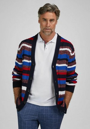 Mann mit grauen Haaren und Bart, trägt ein weißes Poloshirt, eine mehrfarbige gestreifte Strickjacke und blaue karierte Hosen, steht mit den Händen in den Taschen.