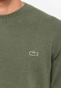 Olive green knitted sweater with a ribbed crew neckline and embroidered crocodile logo. Soft texture, fitted design, minimalistic style.