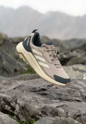adidas Terrex, ANYLANDER - Chaussures de marche - taupe/white/grey six
