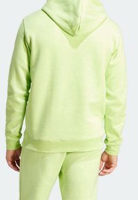 Ljusgrön hoodie med texturerad yta, featuring en känguruficka, ribbade muddar och nederkant, visad från baksidan.