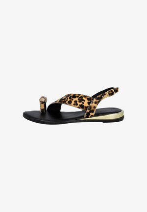 Gioseppo, Sandalias de dedo - brown