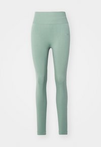 Leggings taille haute, ajustés, de couleur vert clair. Fabriqués en tissu extensible avec une texture lisse. Pas de motifs ni de matériel notables.