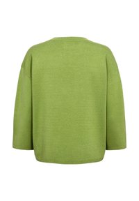 Pull tricoté vert clair à manches longues, col rond et coupe ample, montré de dos.