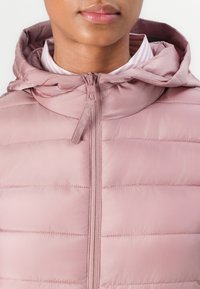 TOM TAILOR DENIM LIGHTWEIGHT PUFFER JACKET - Lett jakke - bristly rose