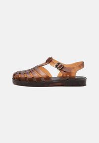 Non selezionato, brown