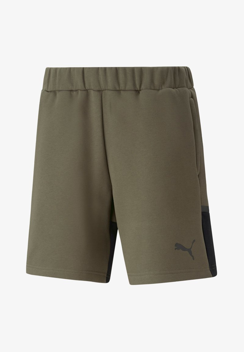 Puma FUSSBALL - TEAMSPORT - TEAMCUP CASUALS - Korte broeken - gruen