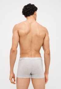 Graue Boxershorts mit glatter Textur und einem hellgrauen Bund mit Logo, von hinten auf einem nackten Oberkörper gesehen.