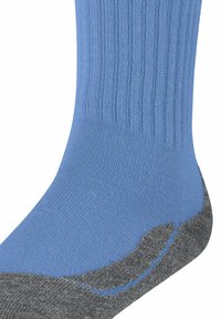 FALKE ACTIVE WARM - Sportsocken - azure