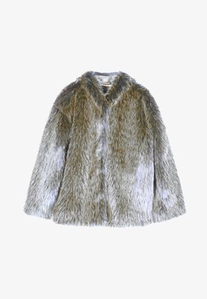 Faux krzno plašč v odtenkih sive in rjave; mehak tekstur, zasnova s kapuco in dolgi rokavi. Ima sprednje odpiranje brez zapiral.