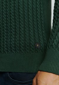 NO EXCESS JACQUARD WITH HALF-BUTTON PLACKET - Trui - dark green