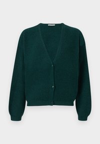 RAXOW - Gilet - cychno