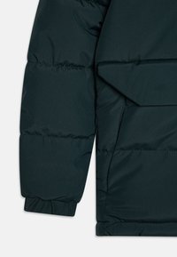 Sezione di giacca a vento verde scuro con design trapuntato, texture robusta, polsini elasticizzati e dettagli di cucitura visibili.