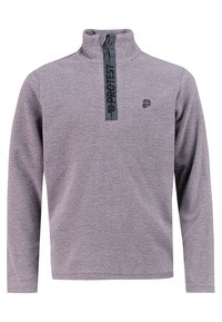 Grijze fleece pullover met een halve ritssluiting, voorzien van een zwart logo en contrasterende ritsband, met een gladde textuur en lange mouwen.