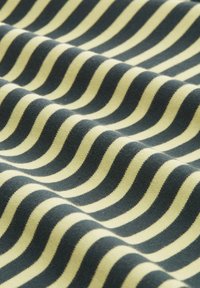 TOM TAILOR DENIM Camiseta de manga larga - tonal green stripe