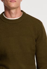 Mann, der einen olivgrünen strukturierten Strickpullover über einem weißen Rundhalsausschnitt-Shirt trägt, von Hals bis zur Mitte des Oberkörpers vor einem schlichten Hintergrund gezeigt.