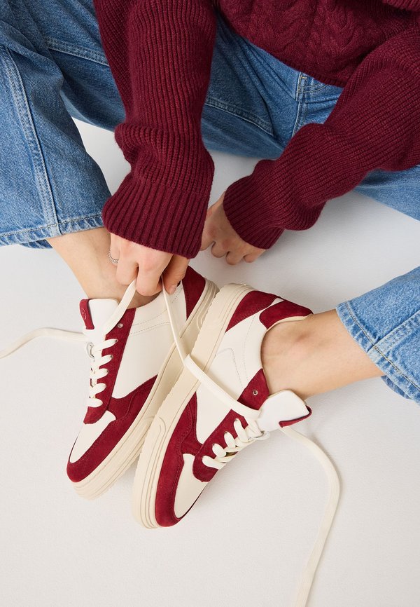 Sneaker low - bordeaux