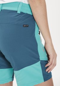 Whistler LALA ACTIV STRETCH - Friluftsshorts -  ceramic