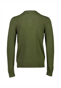 Olivgrüner Pullover mit langen Ärmeln, gerippten Bündchen und Saum, mit strukturiertem Strick und klassischem Polo-Kragen-Design auf der Rückseite.