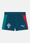 FPF PORTUGAL TRAINING SHORT - Αθλητικό σορτς - ocean tropic/silver mist-coloured mist