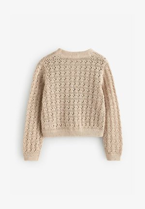 Adītas beiges džemperis ar mežģīņu rakstu, apaļu kakla izgriezumu un ribošām piedurknēm un apakšmalu. Tekstūrēta auduma izskats rada atvērtu, gaisīgu dizainu.