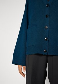 Primo piano di una persona che indossa un cardigan blu con bottoni e tasche anteriori, e pantaloni neri, che mostra la parte inferiore del torso e la mano sinistra rilassata.