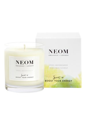 SCENTED CANDLE 1 WICK - Duftkerze - feel refreshed