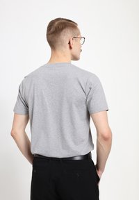 Henry Tiger PARK FIELDS VARSITY EST 1961 - Triko s potiskem - sport grey