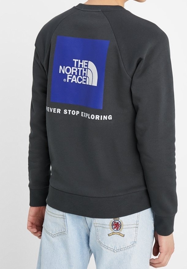Personne portant un sweat-shirt noir avec un logo carré bleu et le texte "The North Face Never Stop Exploring" au dos.