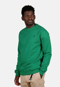 Felpa verde con polsini e orlo a coste, caratterizzata da un logo di un elefante ricamato sul petto. Il materiale appare morbido e dalla texture interessante.