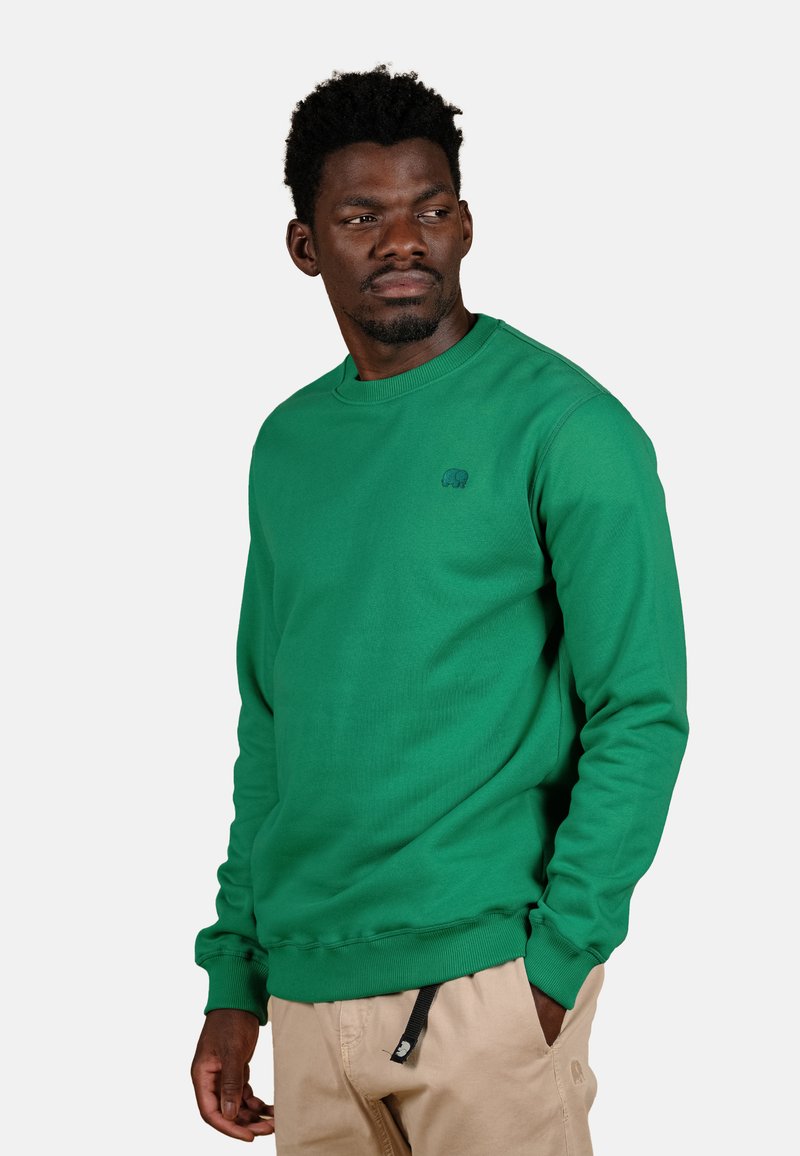 Felpa verde con polsini e orlo a coste, caratterizzata da un logo di un elefante ricamato sul petto. Il materiale appare morbido e dalla texture interessante.