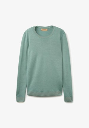 Maglione verde a maniche lunghe con scollatura rotonda, polsini e orlo a costine. Realizzato in morbido tessuto con una leggera trama, presenta un design semplice.