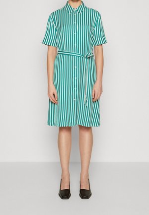 Femme portant une robe boutonnée à rayures verticales vertes et blanches, manches courtes et ceinture nouée à la taille, associée à des chaussures noires pointues.