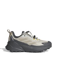 Adidas Terrex TRAILMAKER 2 GORE-TEX NATGEO - Joggesko - orbit grey beige grey five