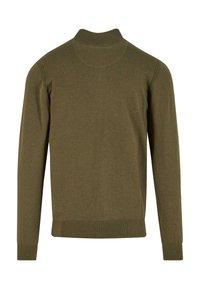Pull en maille olive clair à manches longues avec col montant, poignets et ourlet côtelés, vu de dos sur un fond blanc.