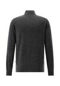 Dunkelgrauer Langarmpullover mit hohem Kragen, gerippten Bündchen und Saum, von hinten auf einem weißen Hintergrund gezeigt.